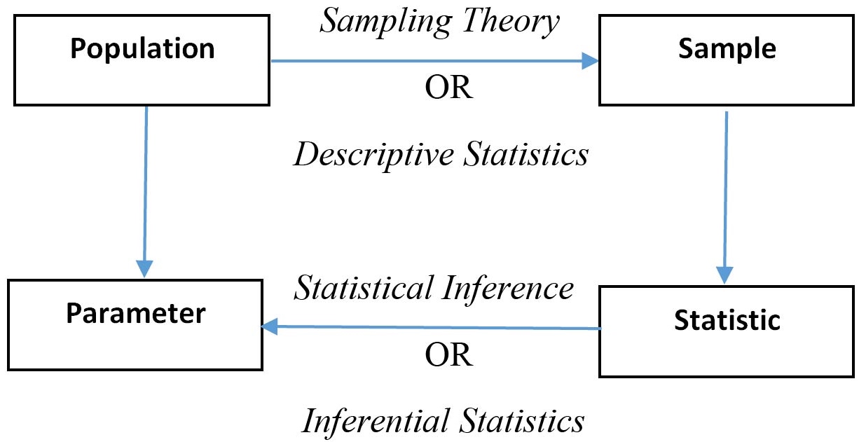 Dependent Variable: Definition and Examples - Statistics ...